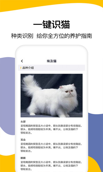 猫语翻译软件免费版